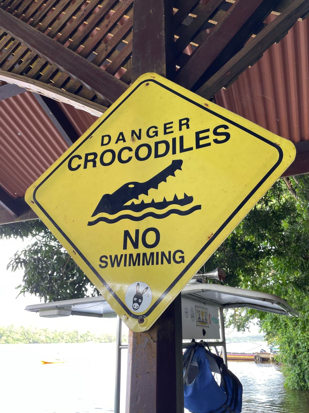 6 Crocodiles No Swimming Schild_web.jpg