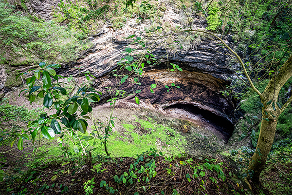 Bild-31-Calakmul-Höhlen_web_mex.jpg