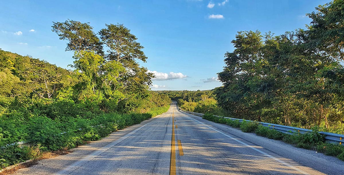 Bild-21-Road-to-Calakmul_1200x610_web