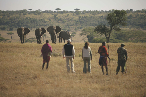 Kenya Wandersafari Masai Mara Explorer Luxus Wildniscamp 