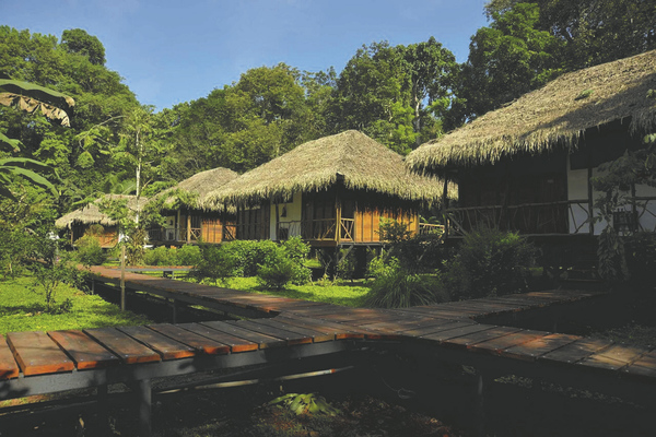 Amazonas Ecuador Dschungelfeeling Lodge Regenwald