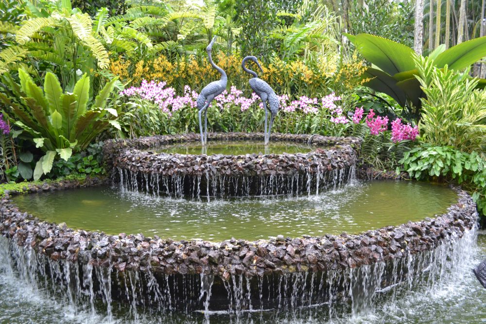 Botanischer Garten Singapur.JPG