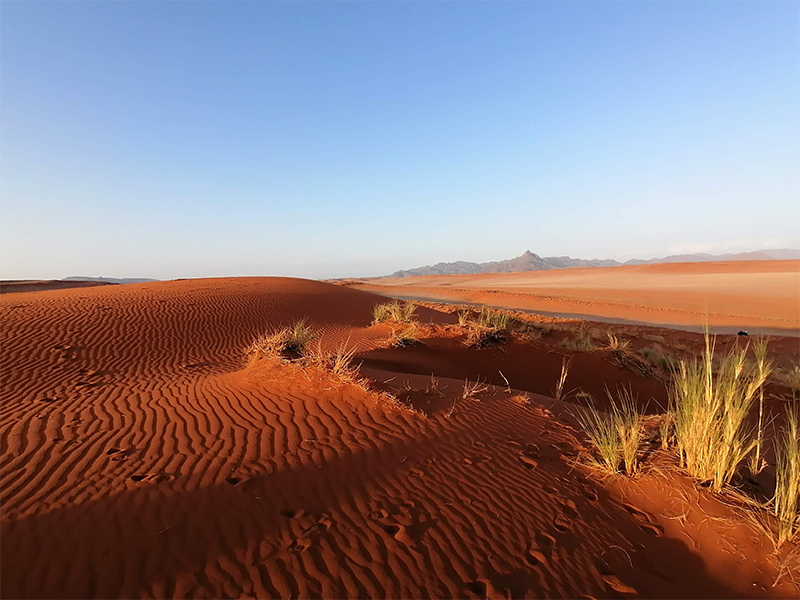Namib-Rand_2_800x600.jpg