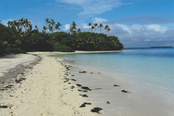 Tonga Resort Schwimmen Schnorcheln Natur Honeymoon
