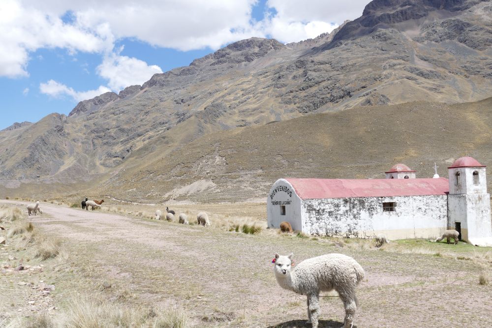 Puno - Cusco lV_Web.jpg