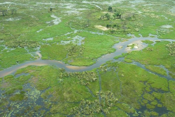 BW---Okavango-Delta-l_Web.jpg